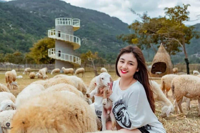 Phan Rang Full-Day: Hang Rai, Vinh Hy, Vineyard & Sheep Farm - Who Will Love This Tour?