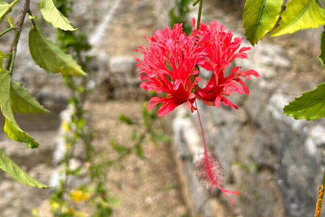 Phantom cafe tour in the Shuri by e-bike - A Detailed Breakdown of the Itinerary