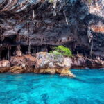 Phi Phi Islands Speedboat Tour: Khai & Maya - The Sum Up