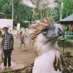 Philippine Eagle Center/Shopping - In-Depth Review of the Philippine Eagle Center/Shopping Tour