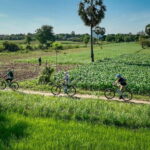 Phnom Penh: Bike & Boat Guided Tour included Snacks & Beers - Is This Tour Right for You?