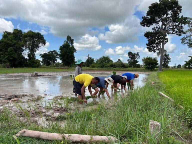 Phnom Penh: Hidden Gems Walking Tour with Local Guide - A Deep Dive into the Experience
