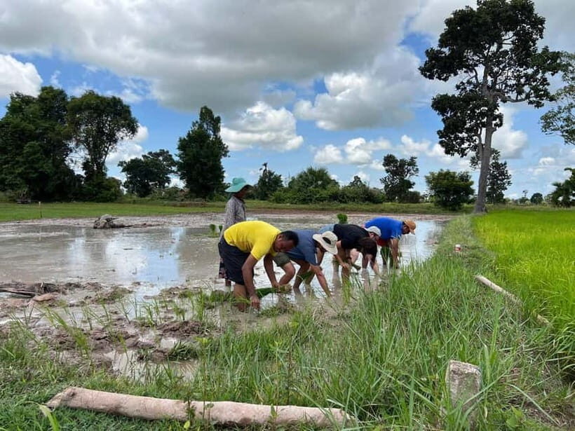 Phnom Penh: Hidden Gems Walking Tour with Local Guide - A Deep Dive into the Experience