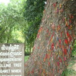Phnom Penh: S-21 Prison and Killing Fields Half-Day Tour - The Value of a Guided, Private Tour
