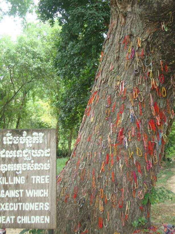 Phnom Penh: S-21 Prison and Killing Fields Half-Day Tour - The Value of a Guided, Private Tour