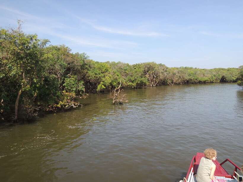 Phnom Penh to Siem Reap cruise/land tour (one way) - Authenticity and Value