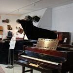 Phoenix Landmarks Tour Desert Botanical Garden - Practical Details and What to Expect