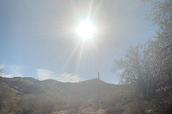 Phoenix South Mountain Hiking Tour Experience - A Detailed Look at the Itinerary and Experience
