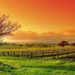 Phoenix Vortex to Vineyard Shared Tour - An In-Depth Look at the Phoenix Vortex to Vineyard Tour