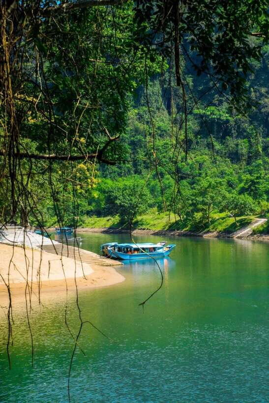 Phong Nha/Dong Hoi: Zipline Dark Cave & Phong Nha Cave Trip - A Deep Dive into the Tour Experience