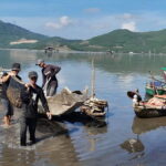 Phong Nha to Hoi An by Private Car with Multi Sightseeing - What’s Included and What to Expect