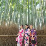 Photo Shoot with a Private Vacation Photographer in KYOTO, JAPAN - Final Thoughts: Is It Worth It?