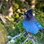 Photography & Advanced Hiking - The Sum Up