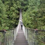 Photography in Rainforest & Suspension Bridge - Who Should Consider This Tour?