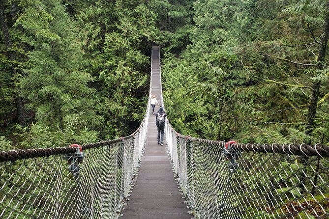 Photography in Rainforest & Suspension Bridge
