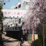 Photography Tour of ASAKUSA, TOKYO - Why Youll Love This Tour