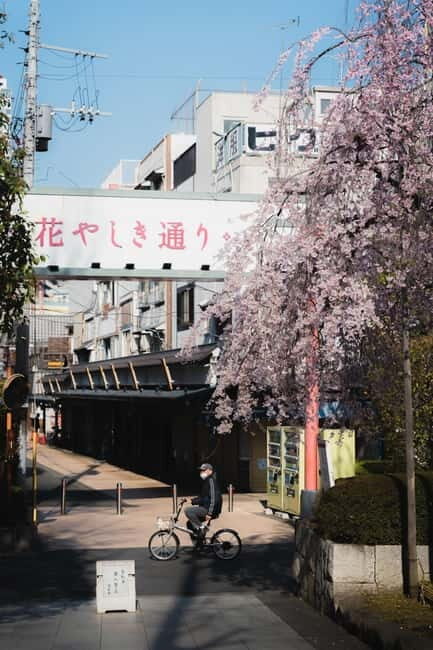 Photography Tour of ASAKUSA, TOKYO - Why Youll Love This Tour