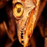 Photography Tour of Mesmerizing Markets of Kolkata - The Itinerary: What Makes Each Stop Special