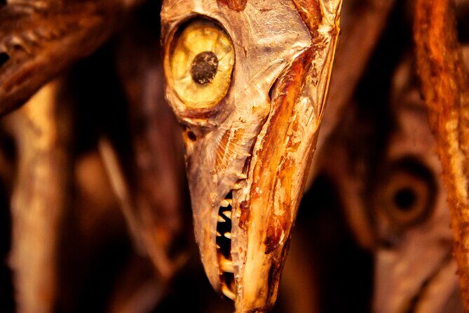 Photography Tour of Mesmerizing Markets of Kolkata - The Itinerary: What Makes Each Stop Special