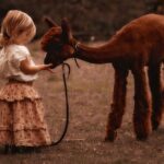 Photoshoot with Alpacas and Farm Experience near Seattle - What Travelers Say and Why It Matters