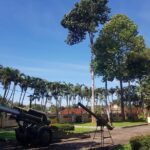 Phu My Shore Excursion: A Wonderful Day in Vung Tau City - Final Thoughts