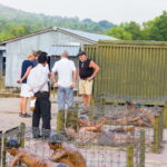 Phu Quoc: Full-day Pearl Discovery And Historical Insights - Why This Tour Offers Good Value