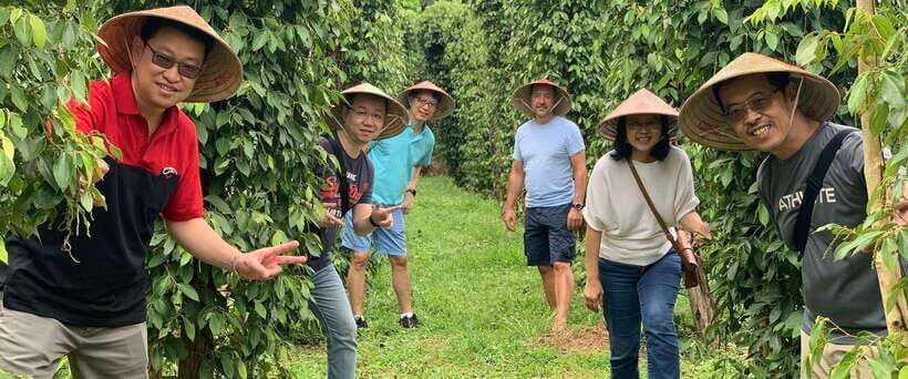 Phu Quoc : Northern Island Tour with Kayaking and Lunch - Extensive Breakdown of the Experience