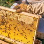 Phu Quoc: Private Half-Day City Tour with Hotel Pickup - Who Would Love This Tour?