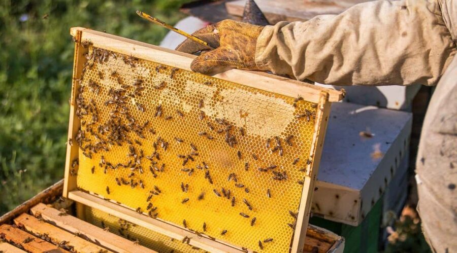 Phu Quoc: Private Half-Day City Tour with Hotel Pickup - Who Would Love This Tour?