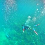 Phu Quoc: Scuba Diving Experience for All Levels - Value and Practical Considerations