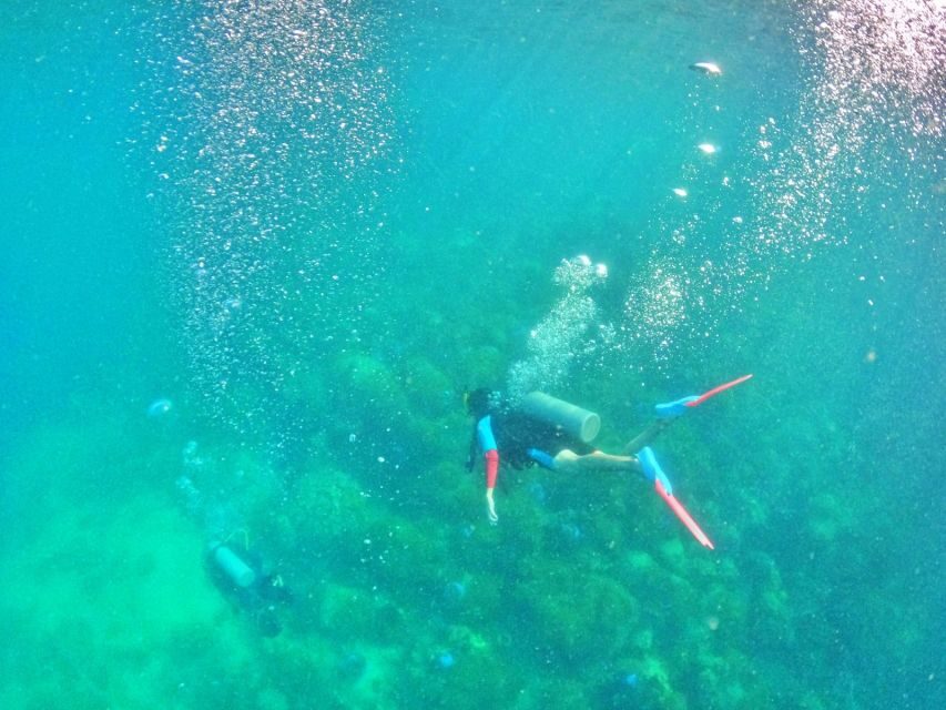 Phu Quoc: Scuba Diving Experience for All Levels - Value and Practical Considerations