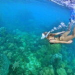 Phu Quoc Small-group Snorkeling to the Coral Jungle Reef - The Details That Make or Break the Experience