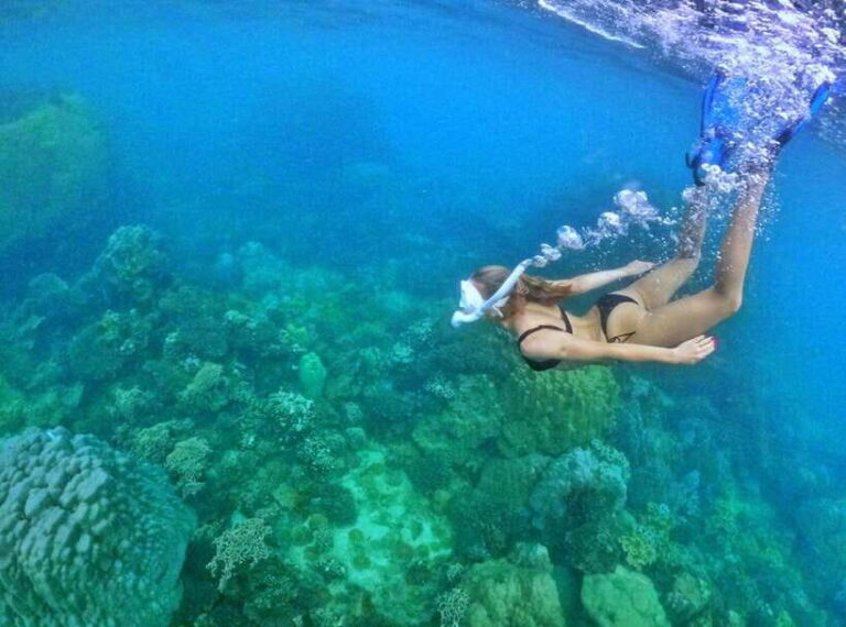 Phu Quoc Small-group Snorkeling to the Coral Jungle Reef - The Details That Make or Break the Experience