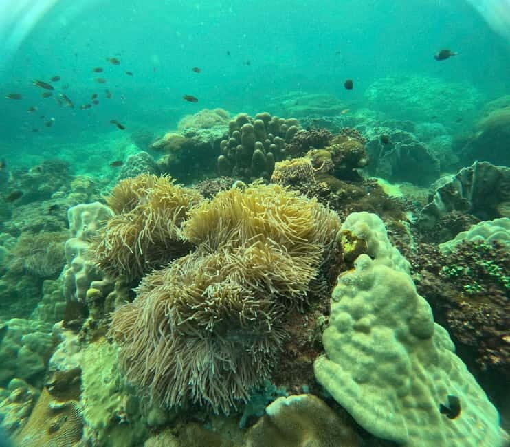 Phu Quoc: Snorkeling and Island Hopping by Speedboat & Lunch - Authentic Insights from Travelers