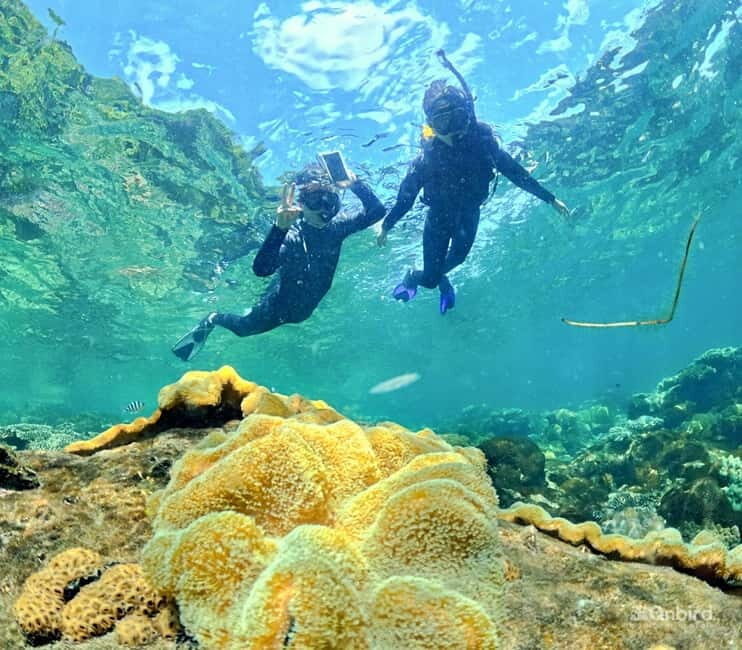 Phu Quoc Speedboat Pro Snorkeling: 4 Islands-2 Reefs & Meal - Final Thoughts: The Value Proposition