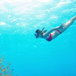 Phu Quoc: Speedboat Tour of 4 Islands with Snorkeling & BBQ - The Experience of Snorkeling and Marine Life