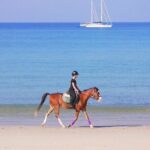 Phuket Beach and Horse Rides 1 Hour Experience - Who Will Love This Experience?