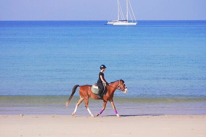 Phuket Beach and Horse Rides 1 Hour Experience - Who Will Love This Experience?