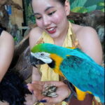 Phuket: Bird Park Entry Ticket - What to Expect During Your Visit