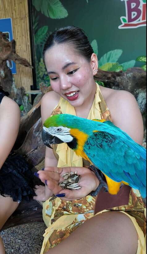 Phuket: Bird Park Entry Ticket - What to Expect During Your Visit
