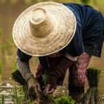 Phuket Countryside and Heritage Tour - Who Will Love This Tour?