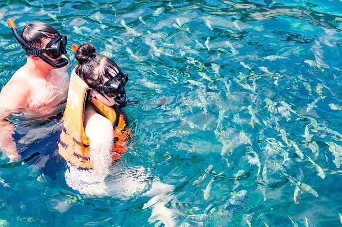 Phuket Dolphin Quest: Racha & Maiton Island Expedition - Why This Tour Works Well