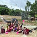 Phuket: Elephant Experience with Lunch or Dinner and Pickup - A Deep Dive into the Phuket Elephant Experience