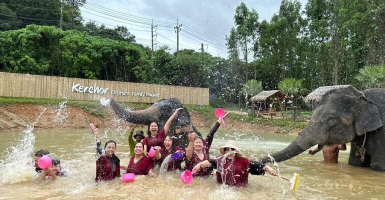 Phuket: Elephant Experience with Lunch or Dinner and Pickup - A Deep Dive into the Phuket Elephant Experience