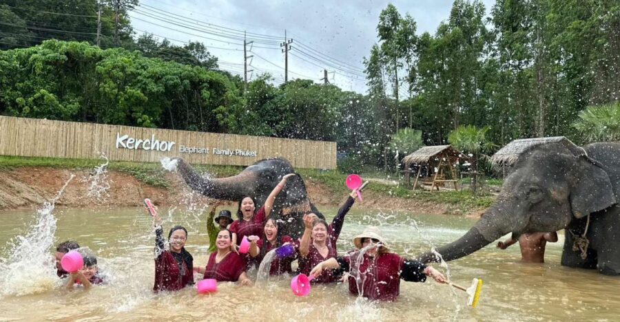 Phuket: Elephant Experience with Lunch or Dinner and Pickup - A Deep Dive into the Phuket Elephant Experience