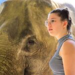 Phuket: Elephant Feeding Program - Detailed Breakdown of the Experience