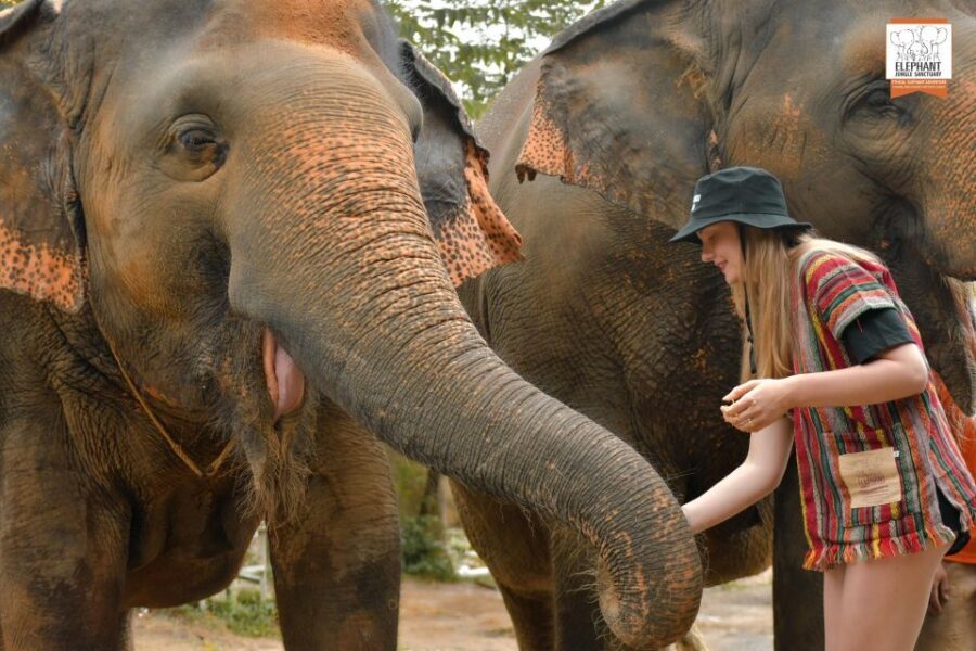 Phuket: Elephant Jungle Sanctuary Ethical Feeding Experience - Who will love this tour?