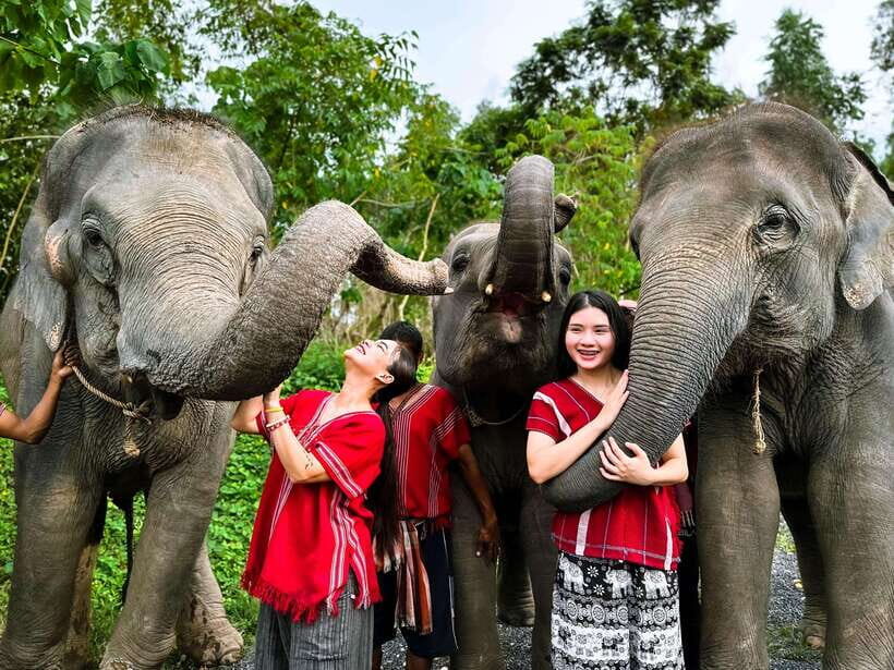 Phuket : Experience feeding and bathing elephants 1.5 Hrs. - The Itinerary in Detail