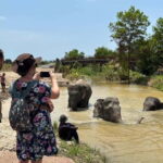 Phuket: Freedom Elephant Reserve - Ethereal Nature Walk - Potential Drawbacks