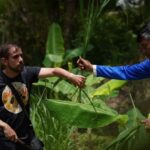 Phuket: Guide Tour to Patong Elephant Sanctuary - Why This Tour Offers Great Value